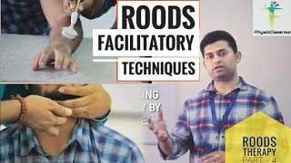 ROODS FACILITATORY TECHNIQUES PART4 VIDEO NO 6 [upl. by Primavera112]