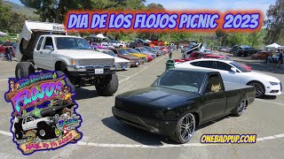 Dia De Los Flojos Picnic Castaic Lake 2023 [upl. by Mharba92]