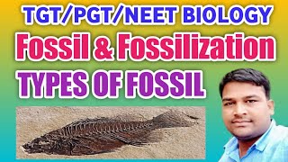 Fossil Fossilization and Types of Fossil  types of fossil  CompressionPetrification impression [upl. by Kushner]