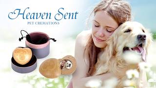 2019 Heaven Sent Pet Cremation [upl. by Alrich]