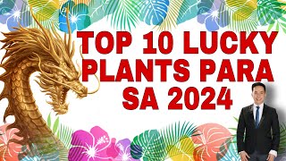 TOP 10 LUCKY PLANTS PARA SA 2024 YEAR OF THE WOOD DRAGON [upl. by Nnaarat]