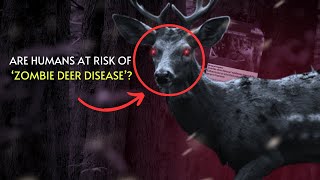 THE ZOMBIE DEER MYSTERY DISEASE REVEALED  POTENTIAL HUMAN PANDEMIC [upl. by Ennasil49]