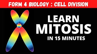 F4 C6 Biology  Learn tricks about MITOSIS in 15 minutes 3 of 6 [upl. by Sirap]