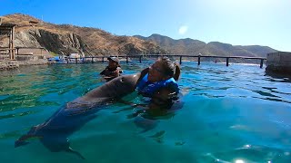 🐬 Nadar con Delfines ❤️ 𝗦𝗔𝗡𝗧𝗔 𝗠𝗔𝗥𝗧𝗔 Colombia 🎥 Acuario y Deportes Extremos Canopy [upl. by Naihr]