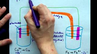 Whats the Anode Cathode and Salt Bridge [upl. by Hplar]