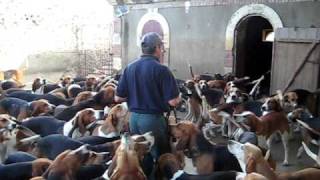 Preparing to Feed the Hounds of Château de Cheverny [upl. by Anon]