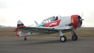 Puma Energy Flying Lions  SAAF Museum Air Show [upl. by Doner937]