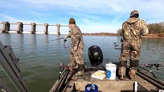 Crazy hot bite at Smithland Dam [upl. by Arman]