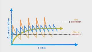 Pharmacokinetics animation Dosing Interval [upl. by Aubrey376]