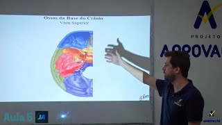 Introdução ao estudo do CRÂNIO  Generalidades e Base do CRÂNIO  AULA 5 [upl. by Fanchon]