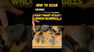 Discover the Art of Cleaning Bluegills for Perfect Fish Fry 🎣 shorts [upl. by Melbourne]