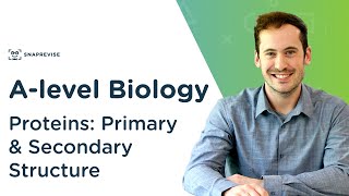 Vaccination  GCSE Biology [upl. by Thurmann]