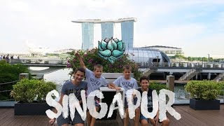 SINGAPUR 🏙 Schönste und sauberste Metropole die wir bisher bereist haben ✈ WELTREISE mit 4 KINDERN [upl. by Graces638]