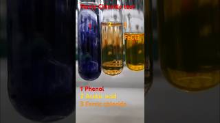 Ferric chloride test to distinguish between Phenol and Carboxylic acid12 organic chemistry [upl. by Sall16]