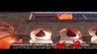 Hajj Mehdi Kamani  Harame Hossein [upl. by Abbub]