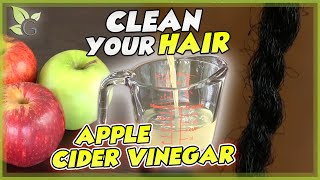 Apple Cider Vinegar as a HAIR CLEANSER – Scientific Facts [upl. by Aikkin120]