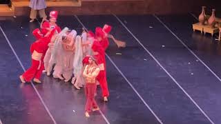 El Corsario Ballet at Teatro Colon in Buenos Aires Argentina [upl. by Nilknarf]