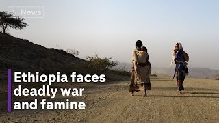 Deadly combination of war and drought leaves Ethiopia facing famine [upl. by Eloise]