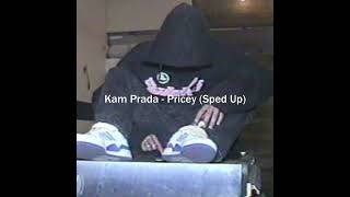 Kam Prada  Pricey Sped Up [upl. by Boff]