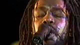 peter tosh  bush doctor  83 holland [upl. by Bedell]