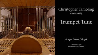 Christopher Tambling  Trumpet Tune  WillibrordiDom Wesel  Ansgar Schlei [upl. by Hamrah179]