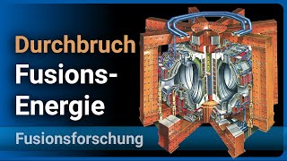 Kernfusion • Durchbruch bei Fusionsforschung am JET  Hartmut Zohm [upl. by Gussi]