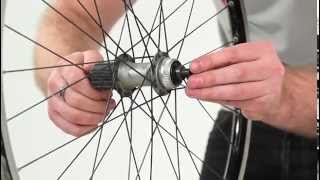 How to service your Shimano hubs [upl. by Eerehs925]