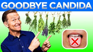 Say Goodbye to Candida The Best Ways to Cure It Permanently [upl. by Akitan849]