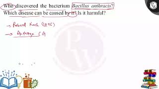 ampnbspWho discovered the bacterium Bacillus anthracis Which disease can be caused by it Is it [upl. by Eiramyma307]