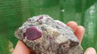 CORINDON Var RubÃ­ Corundum Ruby [upl. by Mita173]