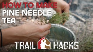 How to Make Pine Needle Tea  Trail Hacks [upl. by Spector]