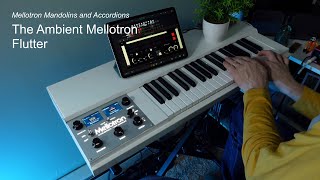 Mellotron Mandolin and Accordion Looping with a Long Delay  The Ambient Mellotron M4000D Mini [upl. by Calvina]