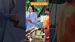 chandan ki lakdi comedy hasoaurhasao funny bollywood comedyscenes dialogue viral shorts [upl. by Burdelle]