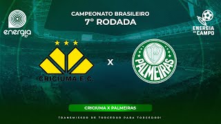 CRICIUMA X PALMEIRAS  02062024  BRASILEIRÃO  AO VIVO [upl. by Leirza895]