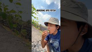 Mukbang apel putsa dataran rendah apelputsa reels mukbang asmr panen challenge [upl. by Odnala]