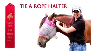 HorseSense Skills How to Tie a Rope Halter [upl. by Gael931]