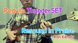 Bass Cover Resound In Praise  Ron Kenoly [upl. by Zindman]