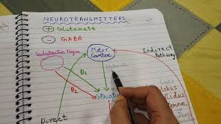 Basal ganglia  Concept of Direct and Indirect Pathway [upl. by Fong]