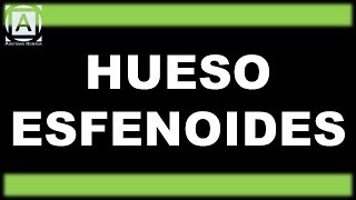 Hueso Esfenoides [upl. by Villada]