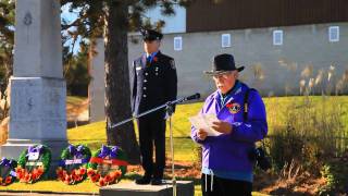 SCHOMBERG REMEMBRANCE DAY 2010 [upl. by Annahsirhc]