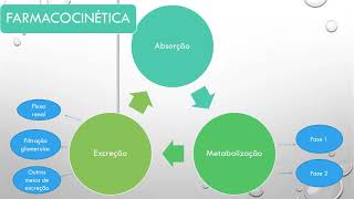 mapa mental terapêutica  farmacocinética e farmacodinâmica [upl. by Dorian]