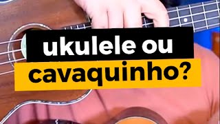 Ukulele e cavaquinho você sabia a diferença entre eles Comenta aqui [upl. by Enirahtak]