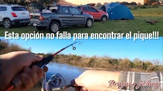 Cuando esta difícil la pesca esta opción no falla [upl. by Blum928]