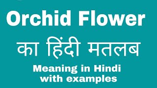 Orchid Flower Meaning in Hindi Orchid Flower ka matlab kya hota hai [upl. by Brabazon]