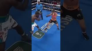 When a Boxer Refused to Knock Out His Opponent boxing lomachenko [upl. by Nivek]