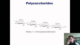 Chapter 22 – Carbohydrate Chemistry Part 3 of 3 [upl. by Giacamo926]