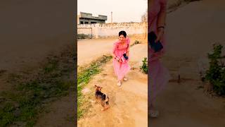 Hut Hut Hi Kahna Pada cute cutepuppy puppy shortvideo [upl. by Inva110]