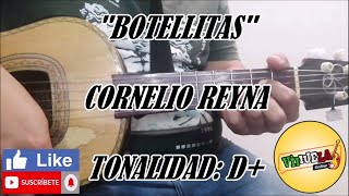 Botellitas  Cornelio Reyna  Cover Vihuela [upl. by Ahsemaj]