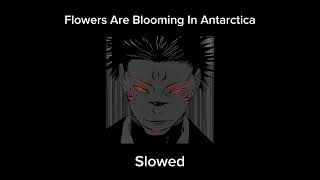 Flowers Are Blooming In Antarctica By Krovic Slowed Version [upl. by Judy755]