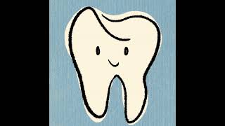 Dental Anatomy 1 Classifications of Dentitions Periods and Teeth [upl. by Eben532]